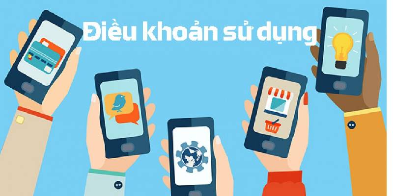 Giới thiệu chung về điều khoản sử dụng